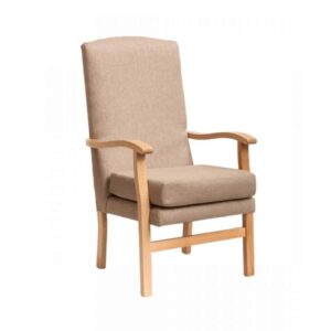 Lounge Chair in scratch resistant – Faux Leather
