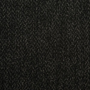 Montagu Black