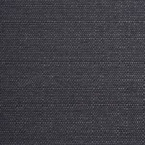 Panaz Alba Graphite