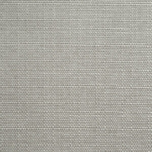 Panaz Alba Putty