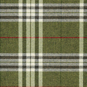 Panaz Hunter Check Sage Green