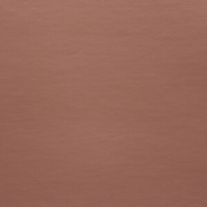 Panaz Zest Blush