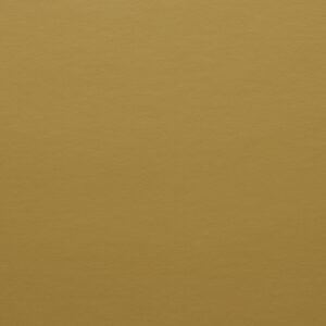 Panaz Zest Mustard
